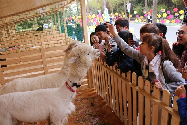 5·19中国旅游日，上海欢乐谷半价巨惠